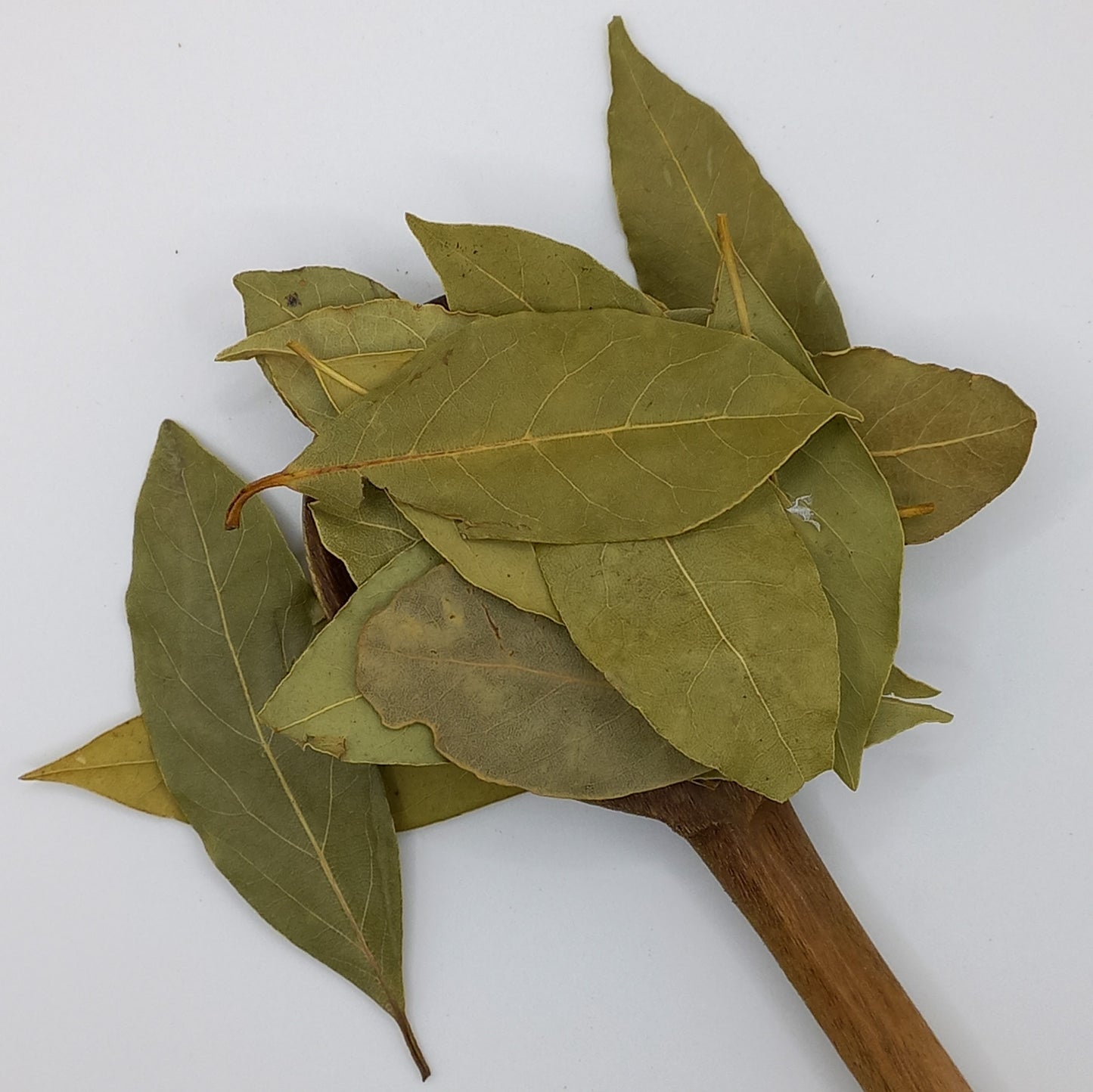 Bay Leaves