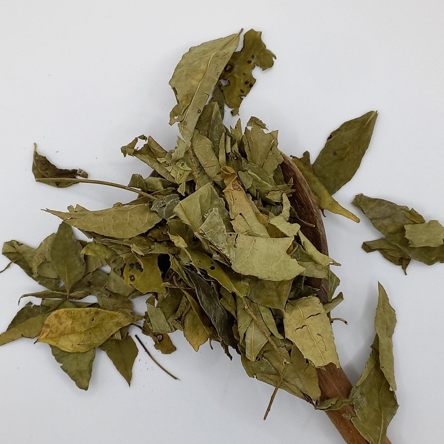 Curry Leaves