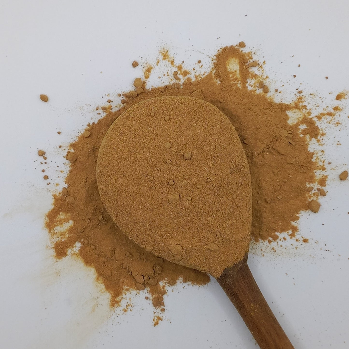 Garlic - powder