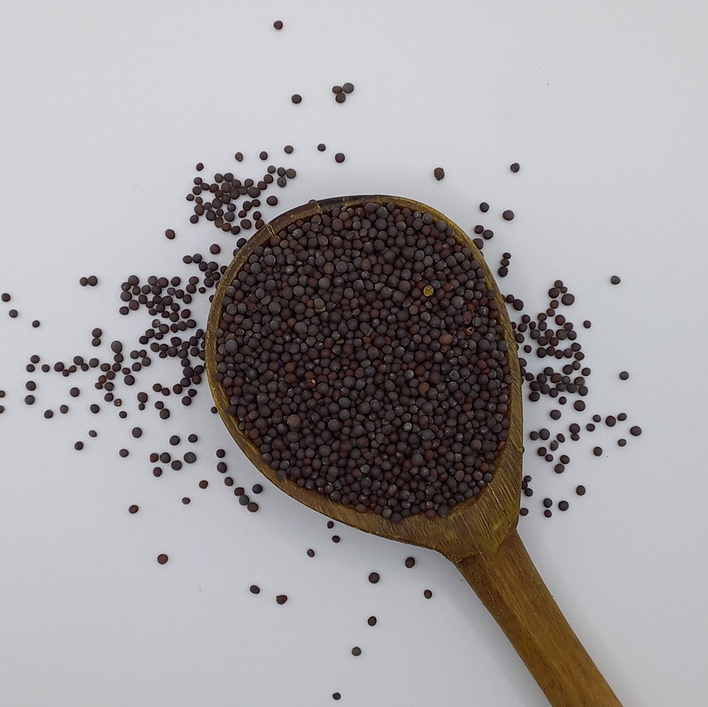 Mustard Seed - brown