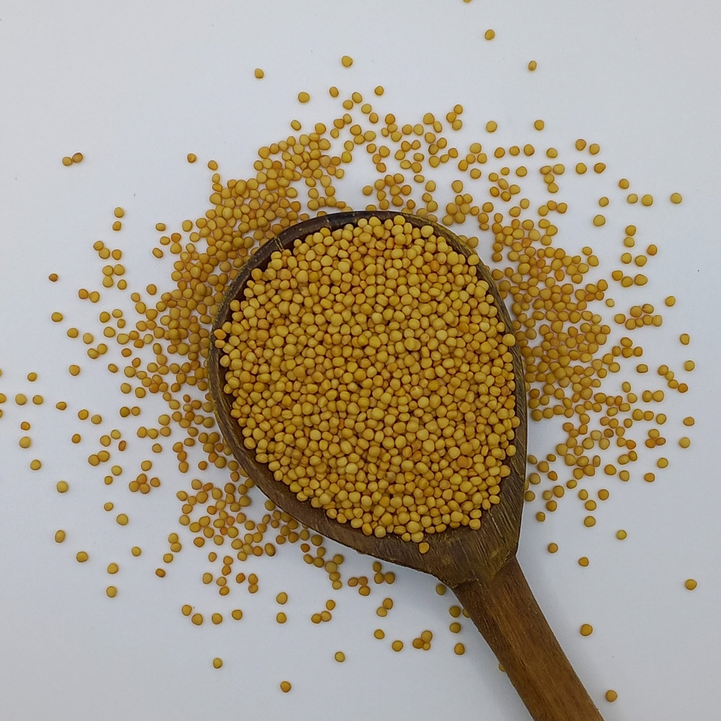 Mustard Seed - yellow