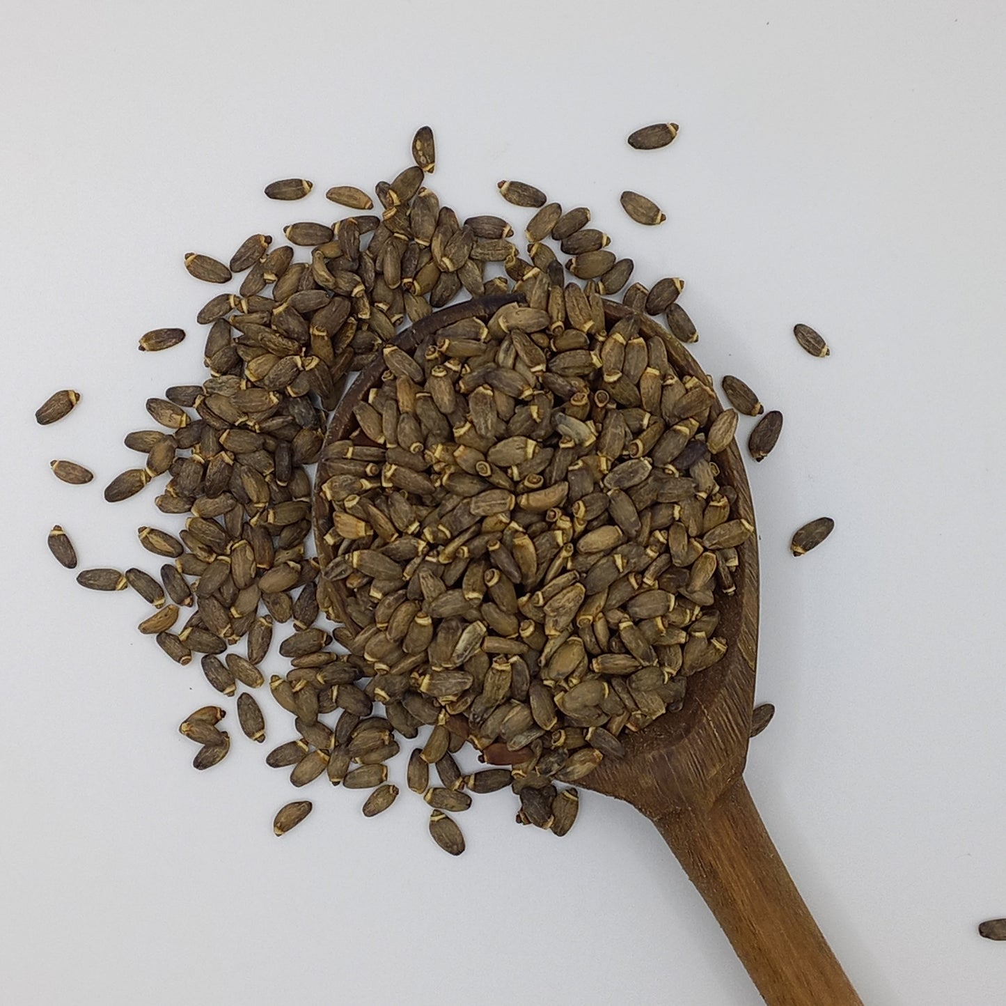Milk Thistle Seed