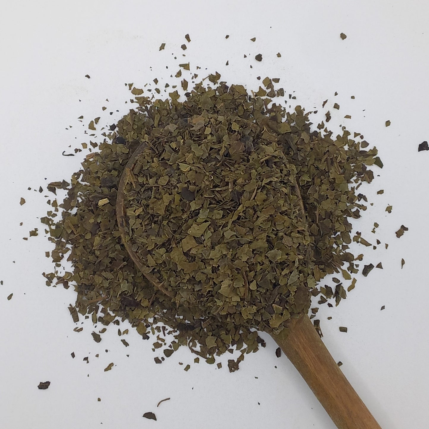 Black Walnut Leaf