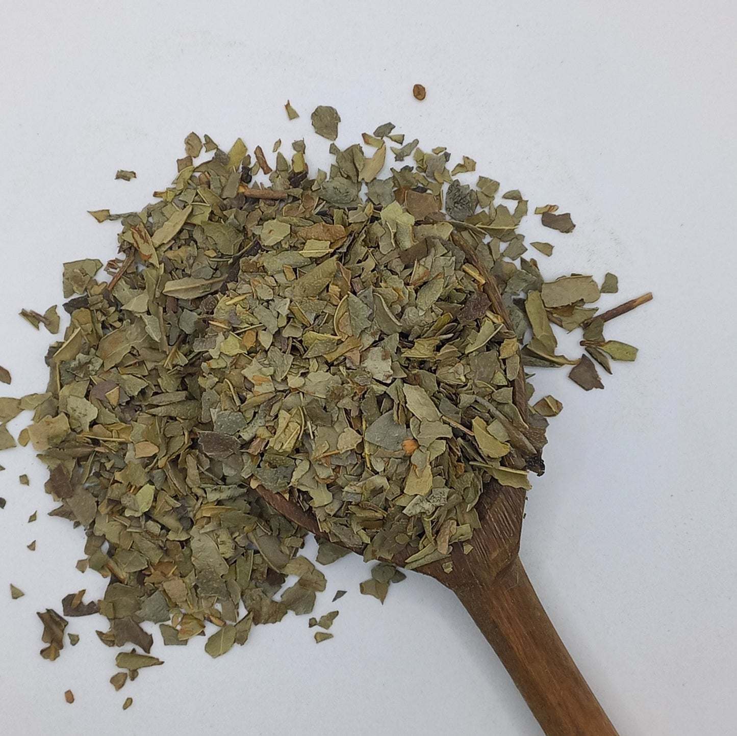 Boldo Leaf