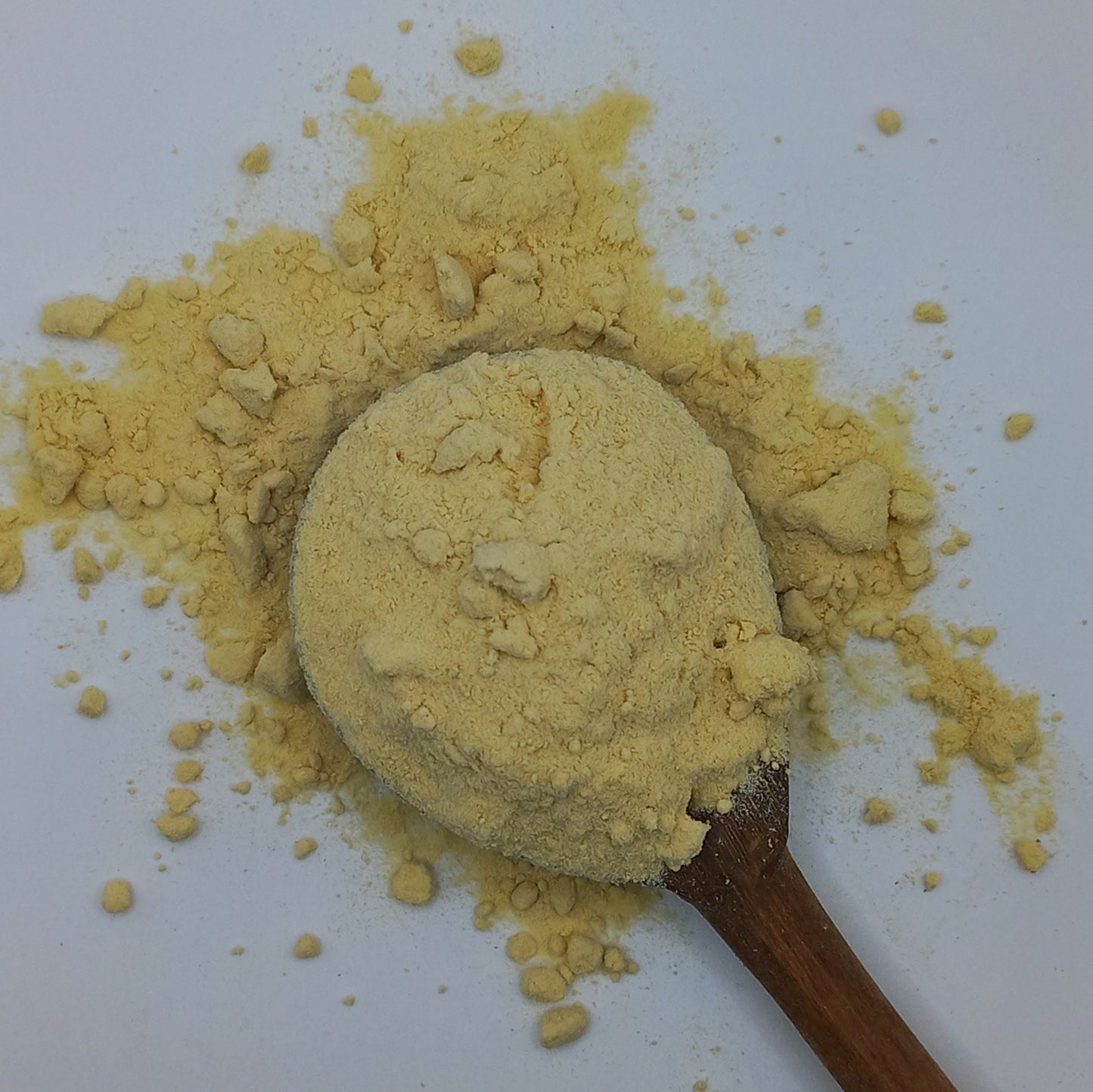 Shatavari - powder