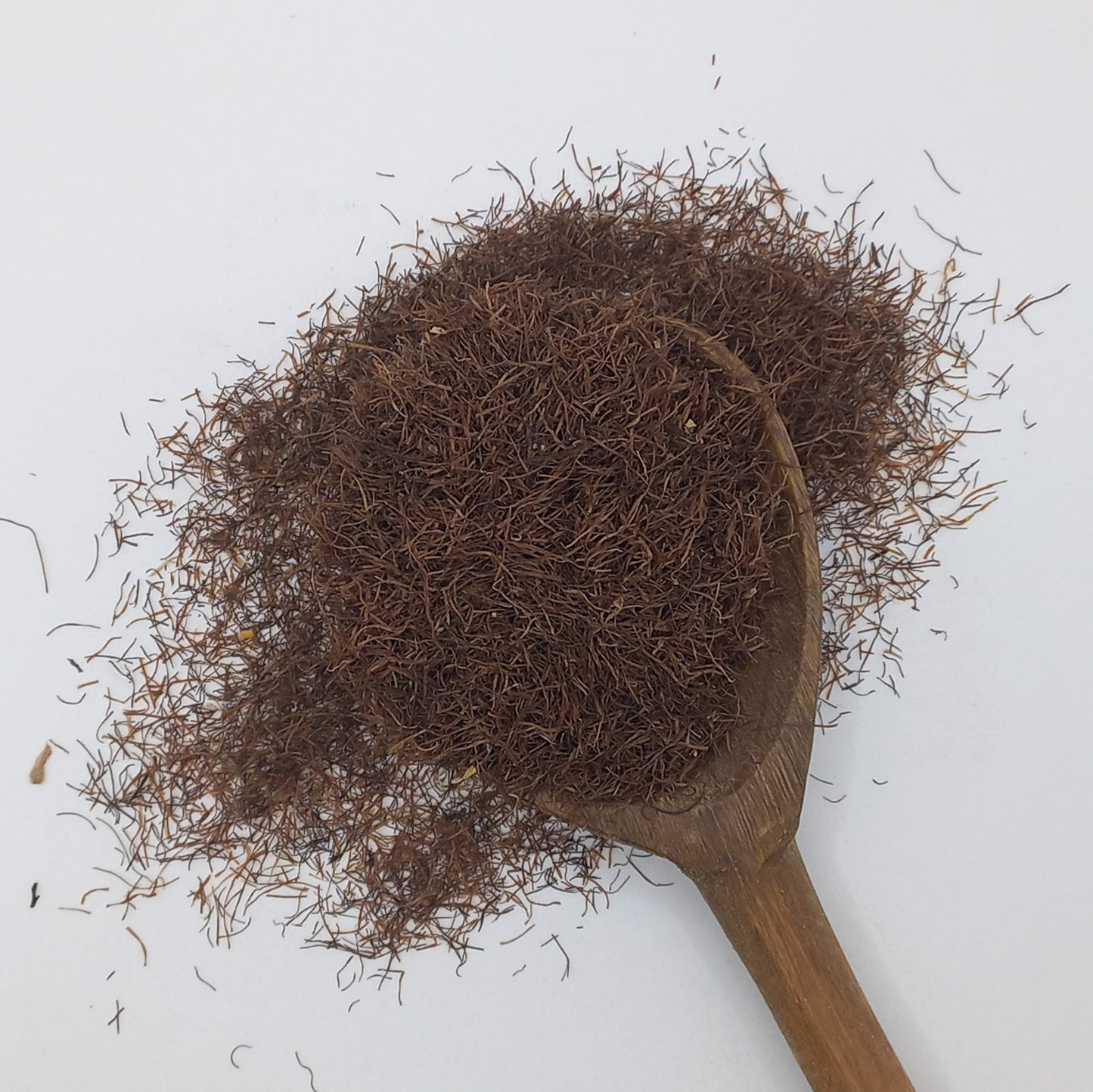 Cornsilk