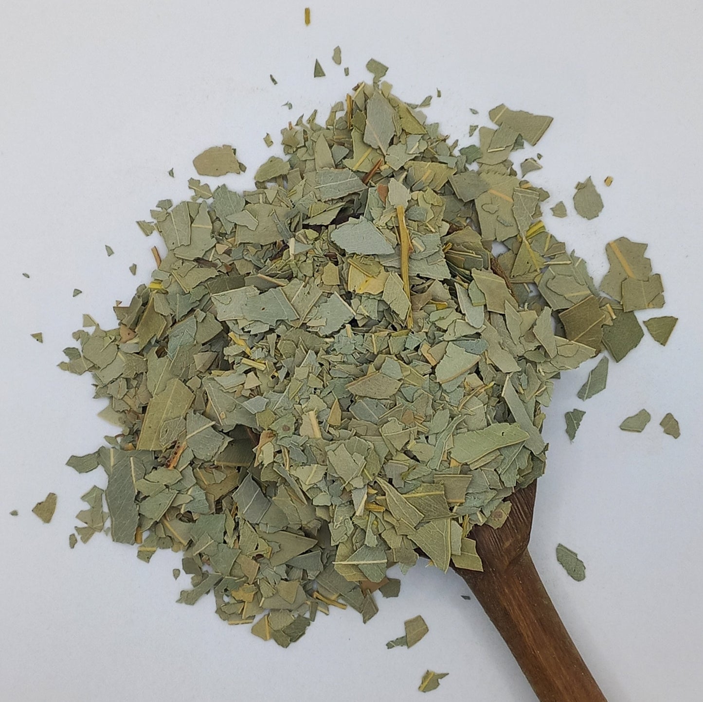 Eucalyptus Leaf