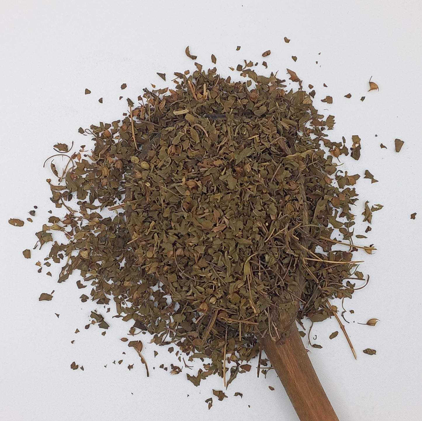 Holy Basil