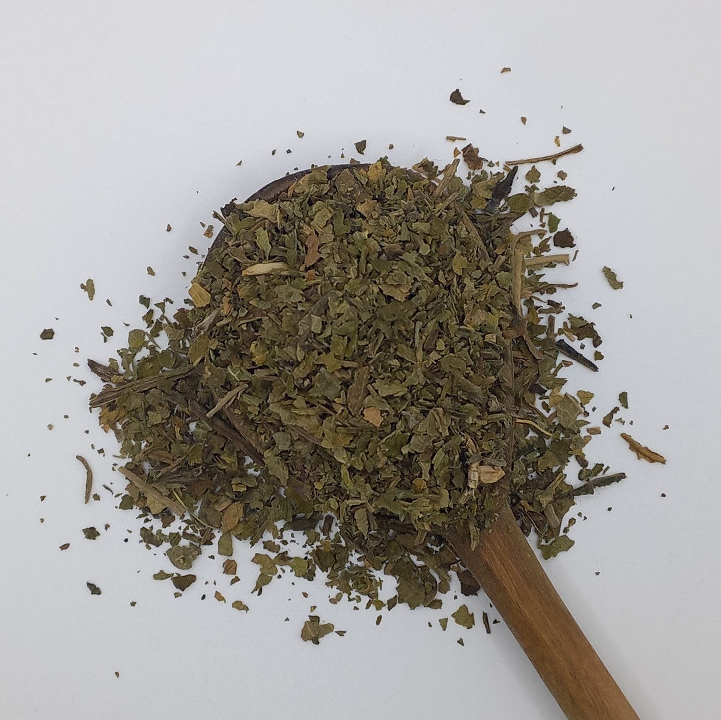 Lobelia