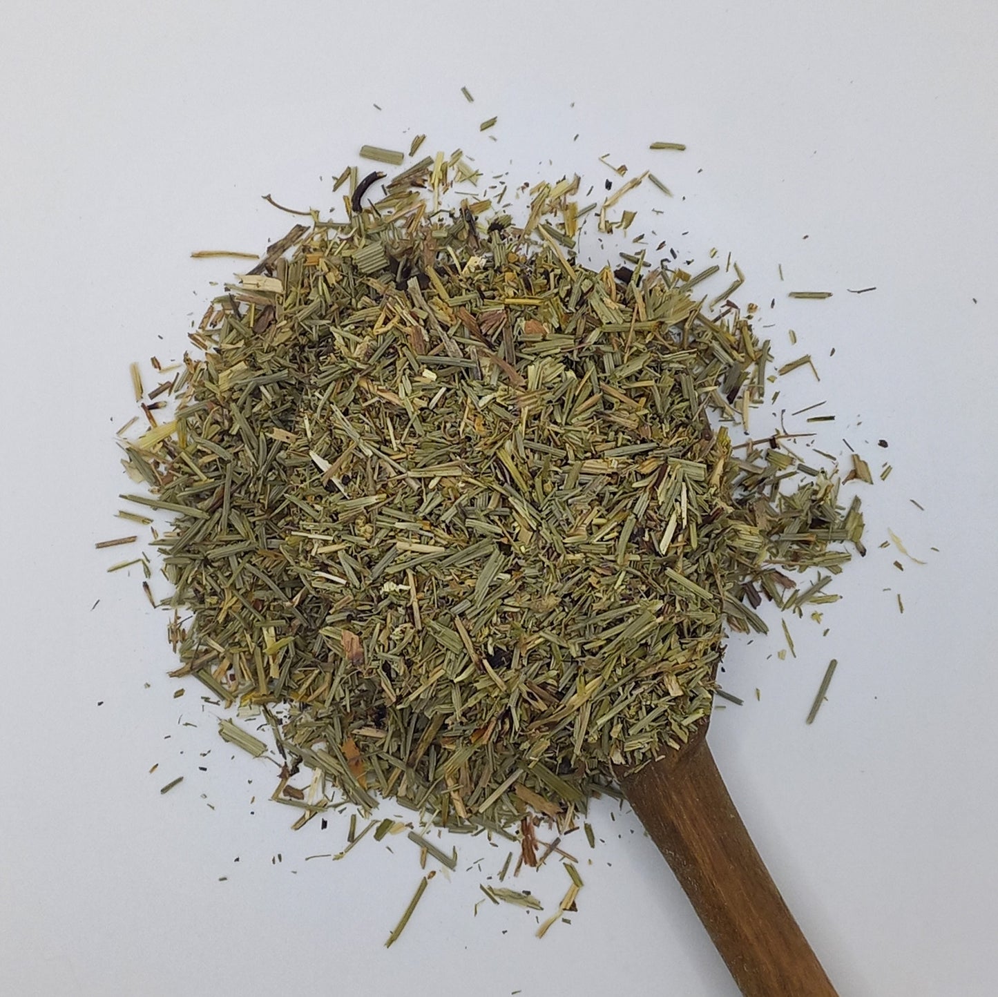 Horsetail (Shavegrass)