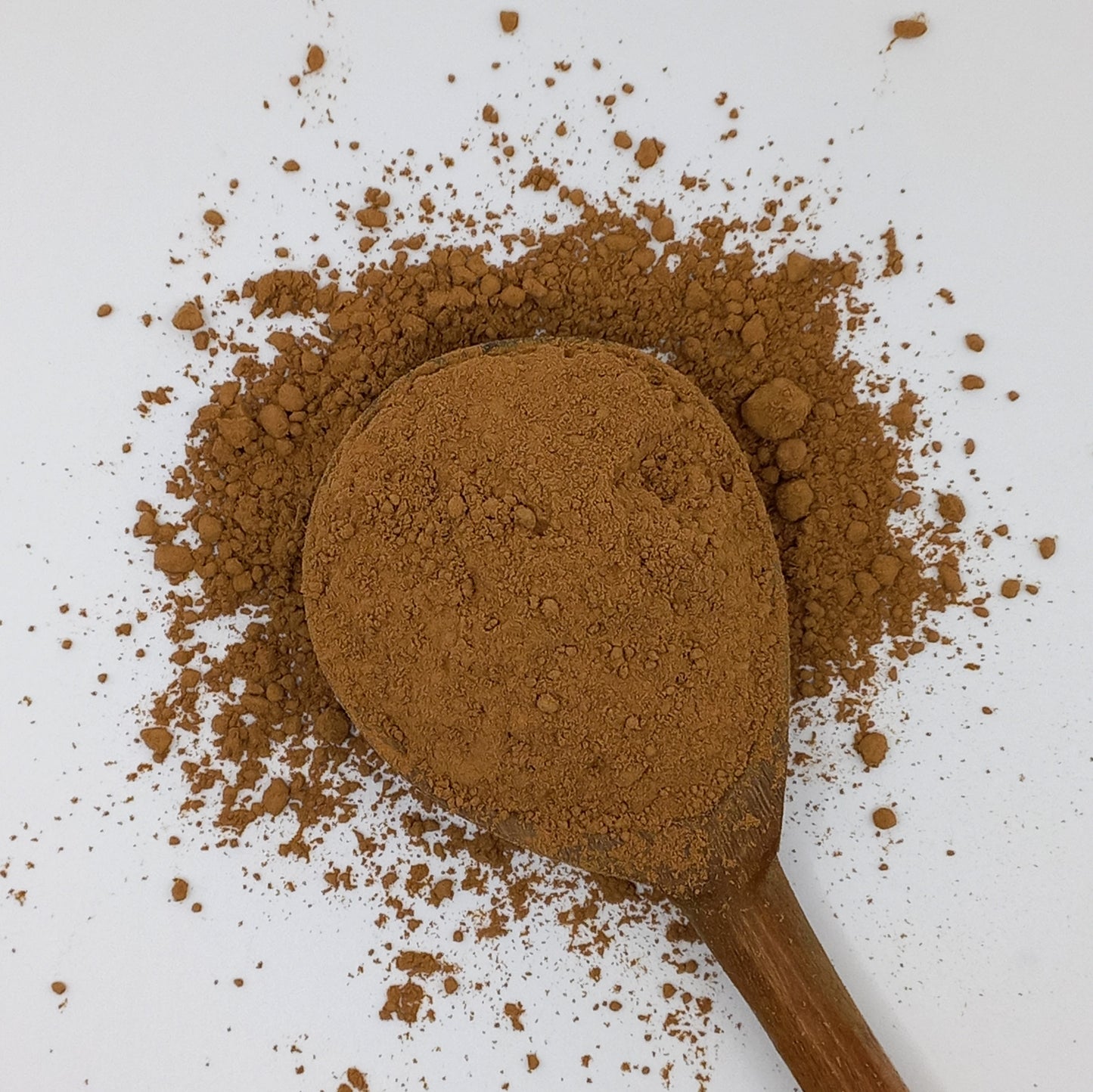 Lion's Mane Mushrooms - powder
