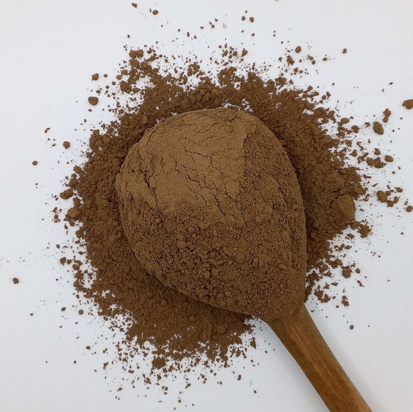 Reishi Mushrooms - powder