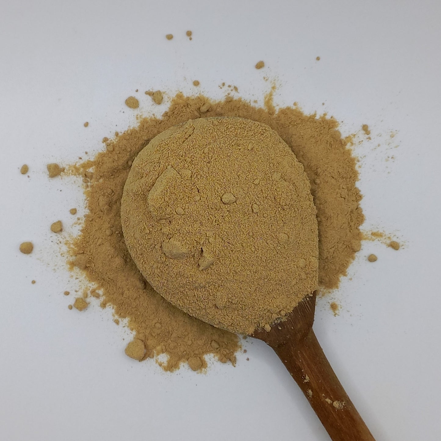 Shiitake Mushrooms - powder