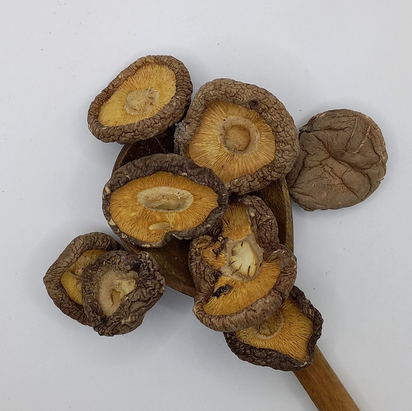 Shiitake Mushrooms
