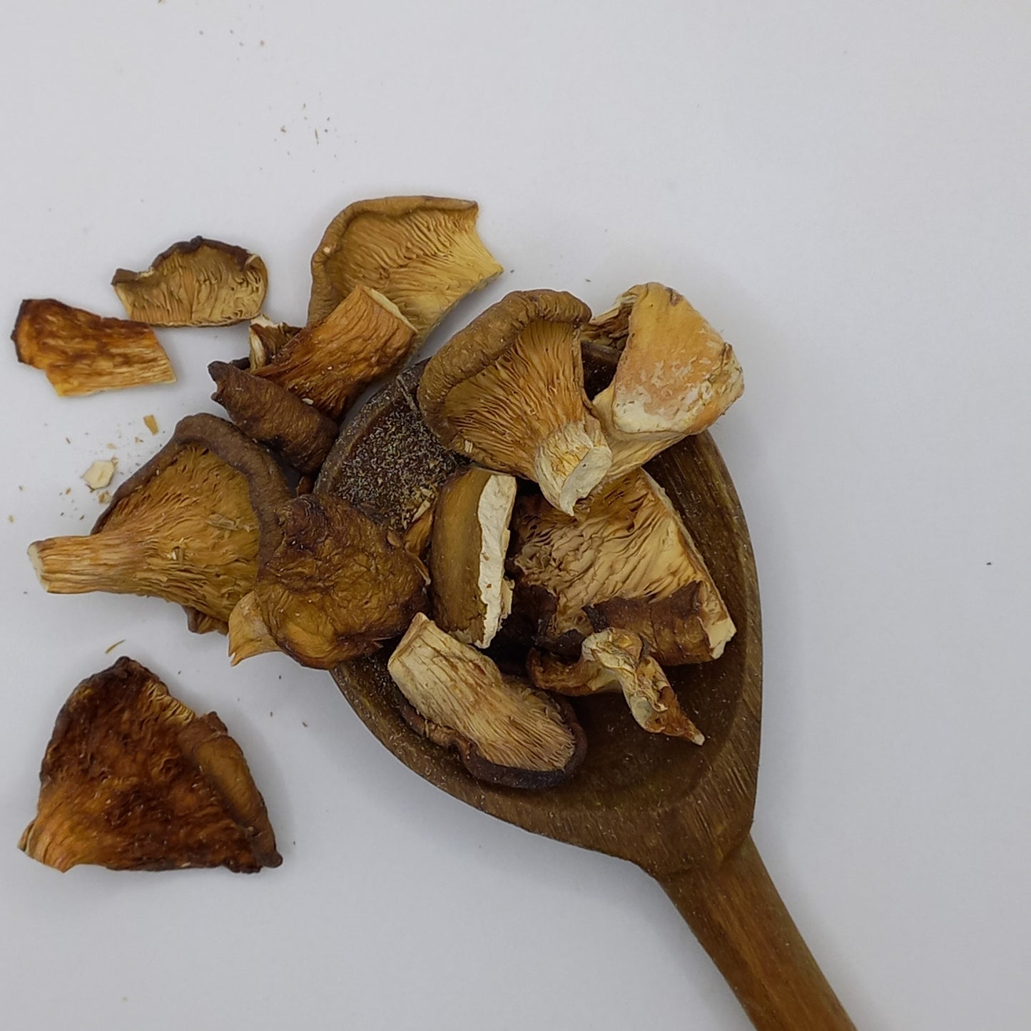 Oyster Mushrooms