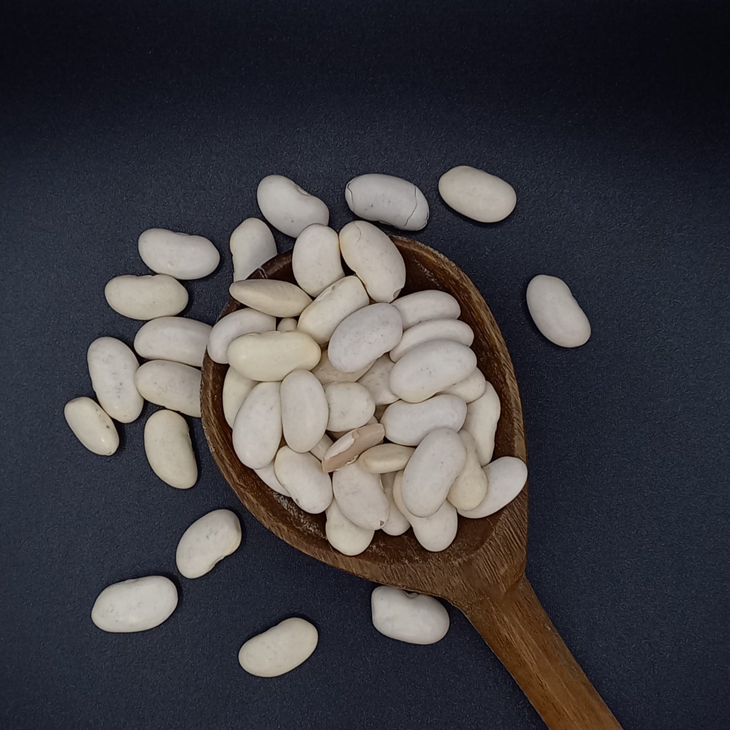Navy Beans
