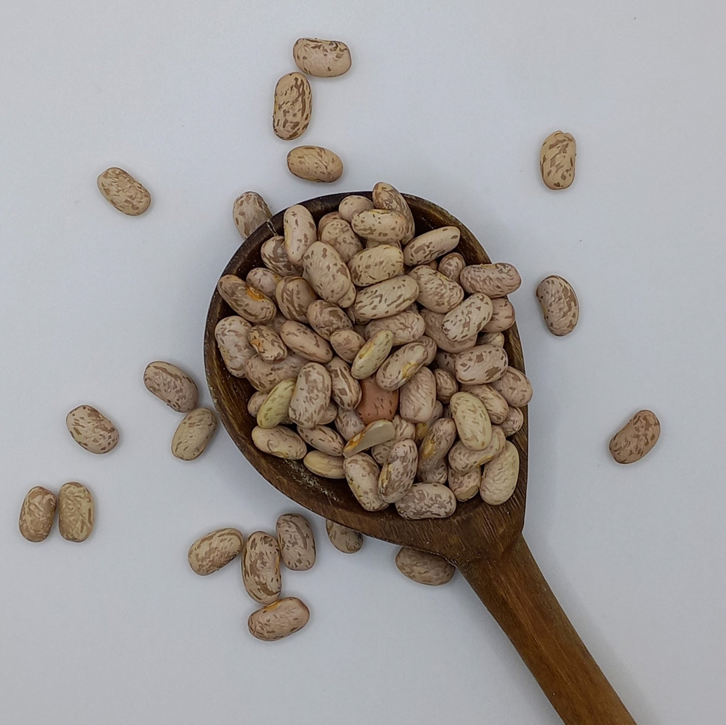 Pinto Beans
