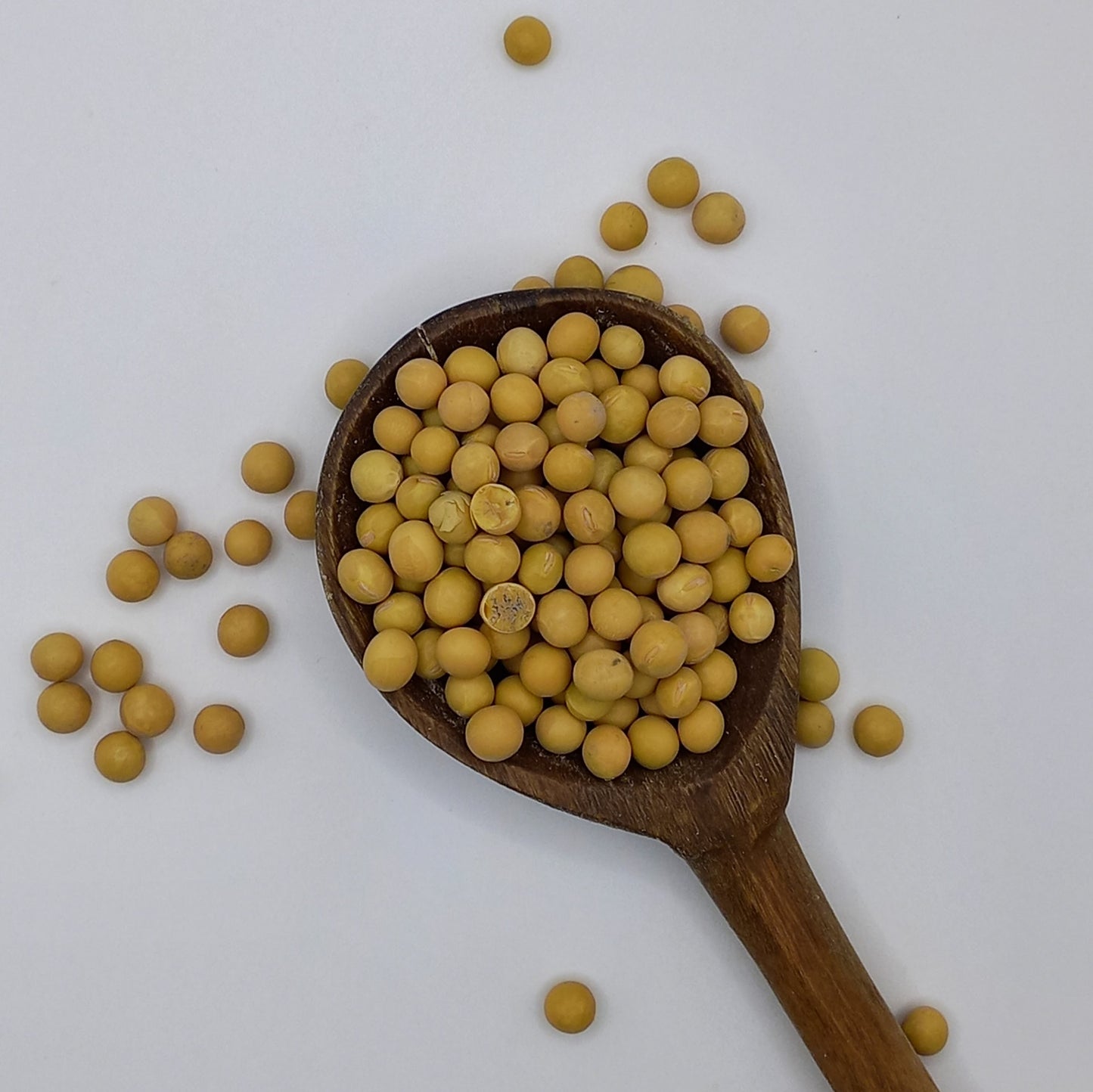 Soy Beans