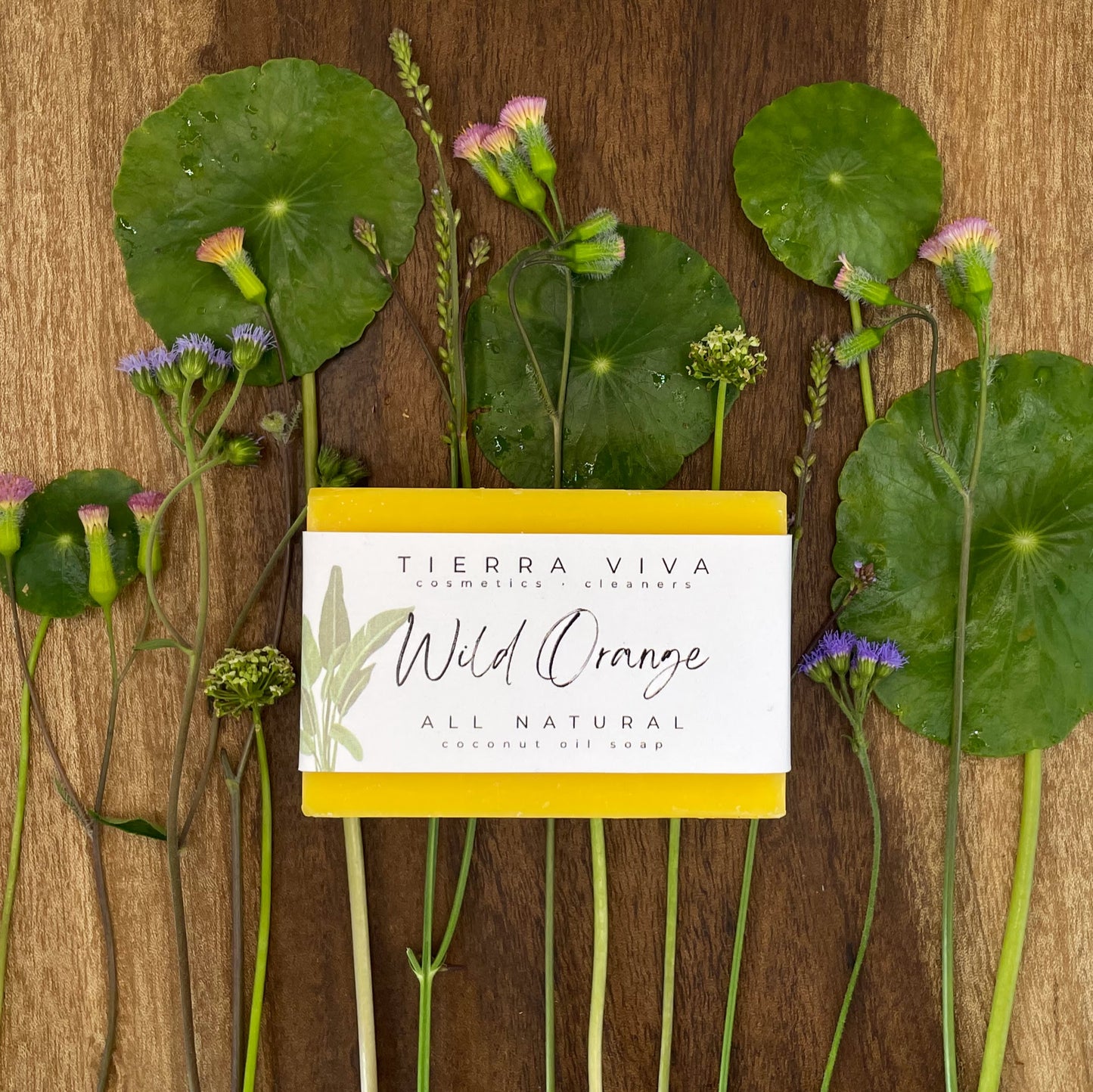 Bar Soap - wild orange