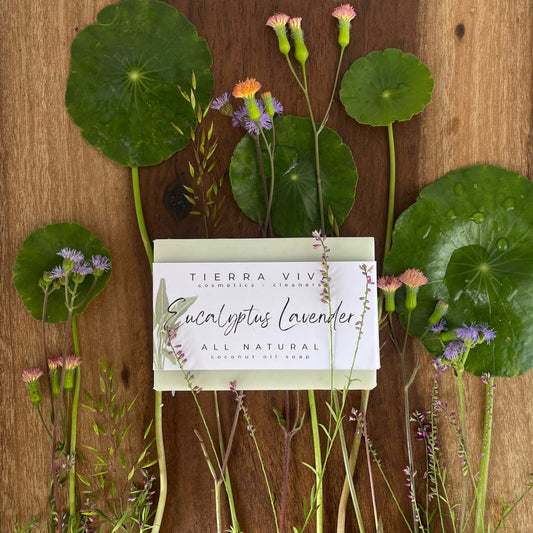 Bar Soap - eucalyptus lavender